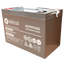 Batería Gel Eleksol 12V 100Ah 6GFM100G